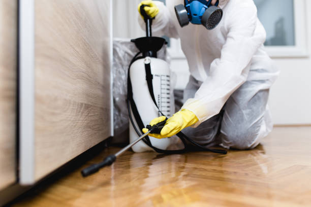 Best Pest Control Near Me in Emerald Lake Hills, CA