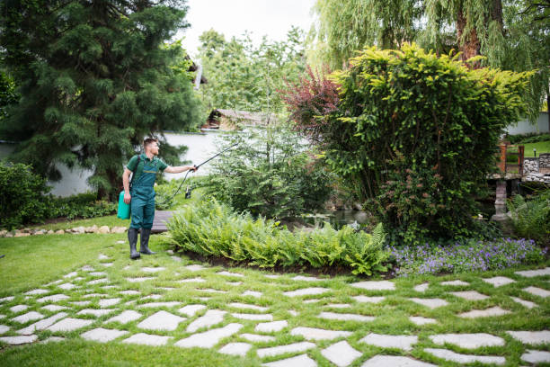 Best Bed Bug Extermination  in Emerald Lake Hills, CA