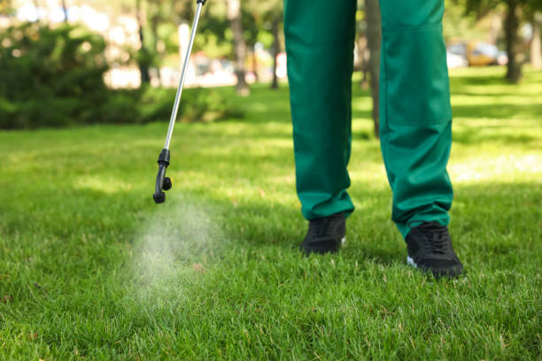 Best Rat Extermination Near Me  in Emerald Lake Hills, CA