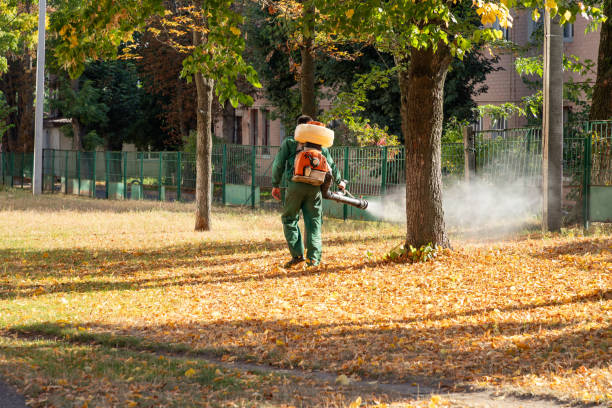 Best Exterminator Services  in Emerald Lake Hills, CA