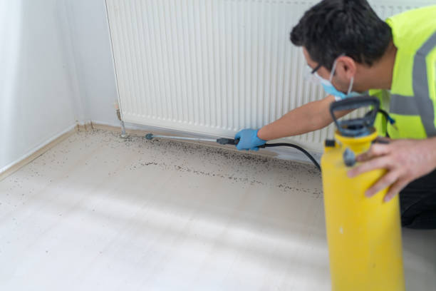 Best Commercial Pest Control Services  in Emerald Lake Hills, CA